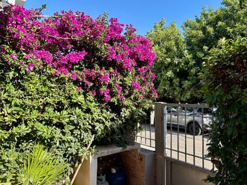 Facade/entrance, Garden, Garden view