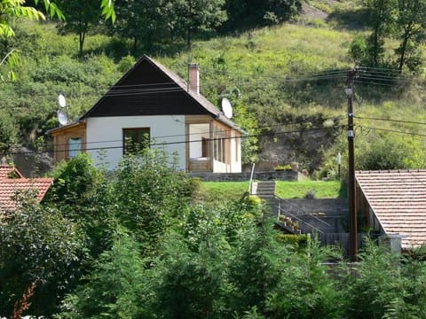 Property building, Garden, Mountain view