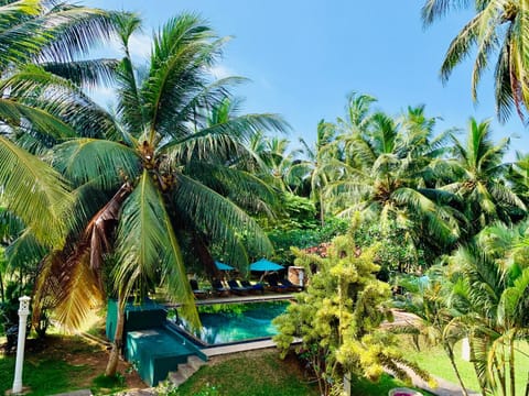 Natural landscape, Pool view, Swimming pool, sunbed