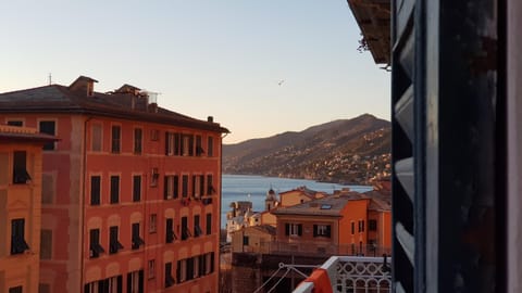 La Scialuppa Apartment in Camogli