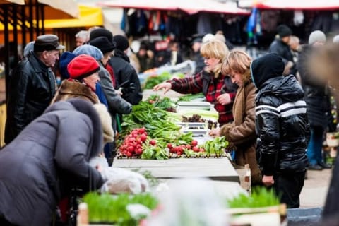 Penthouse Apartment with Great Panoramic City View Apartment in Vilnius