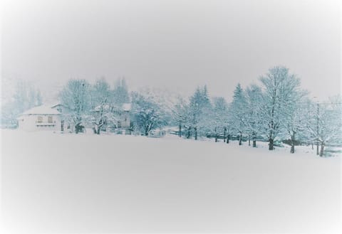 Natural landscape, Winter