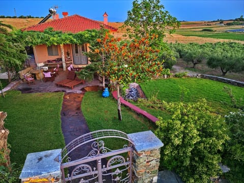 Property view