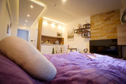 Bed, Living room, Photo of the whole room, Seating area, Bedroom