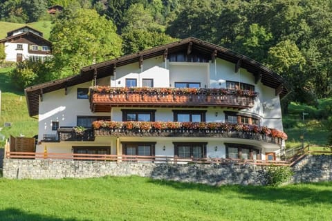 Property building, Summer
