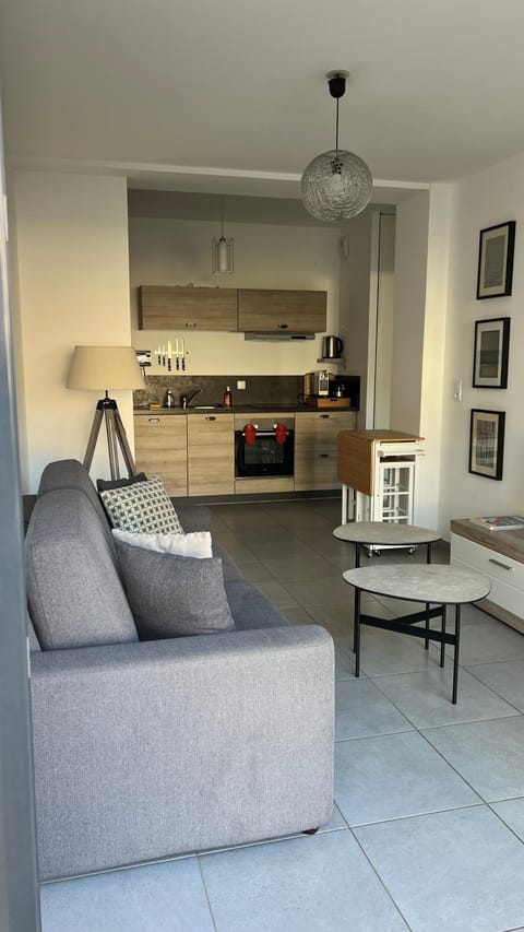 Kitchen or kitchenette, Living room, stove, stove
