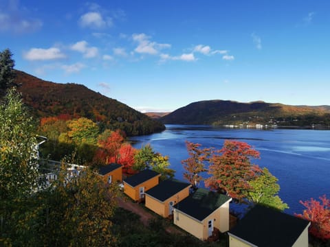 Lake view