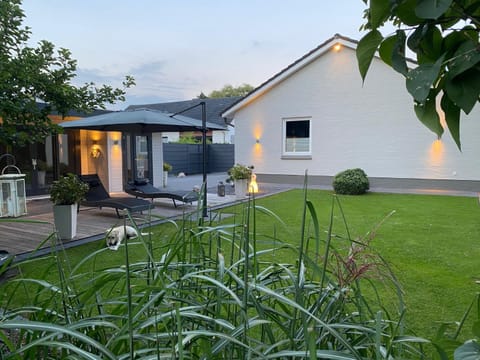 Summer, Garden, Sunset
