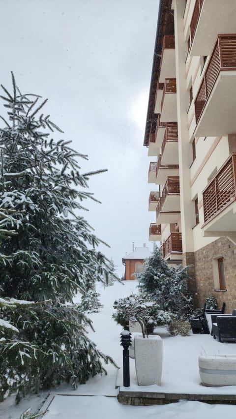 Zlatibor Hills Royal Apartment in Zlatibor