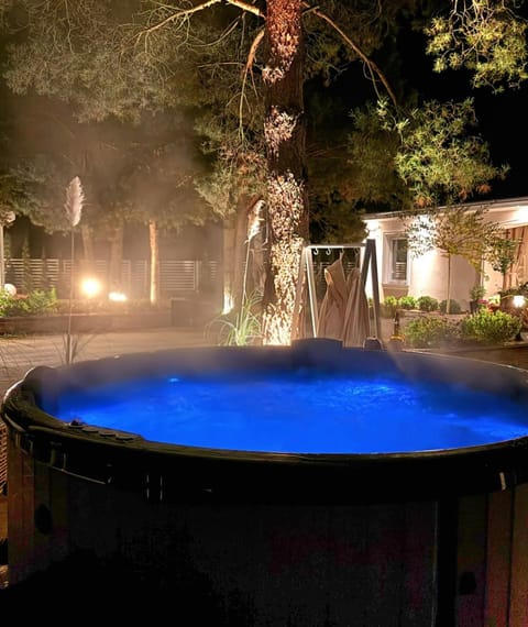 Night, Summer, Garden, Hot Tub, View (from property/room), Autumn, Garden view, Area and facilities, Swimming pool