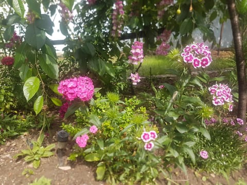 Property building, Garden