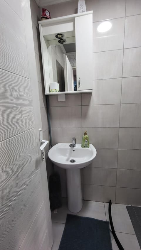 Studio Milica Apartment in Serbia