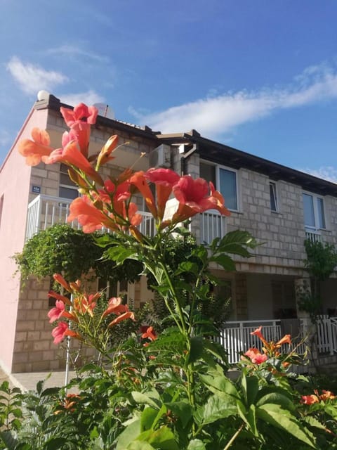 Apartmani Danica Apartment in Dubrovnik-Neretva County