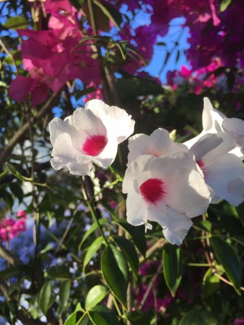 Spring, Natural landscape