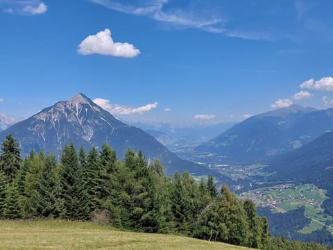 Appartement am Berg Apartment in Tyrol