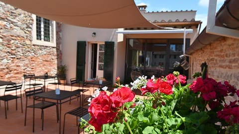 L'Iris B&B in Terrazza Bed and Breakfast in Capannori