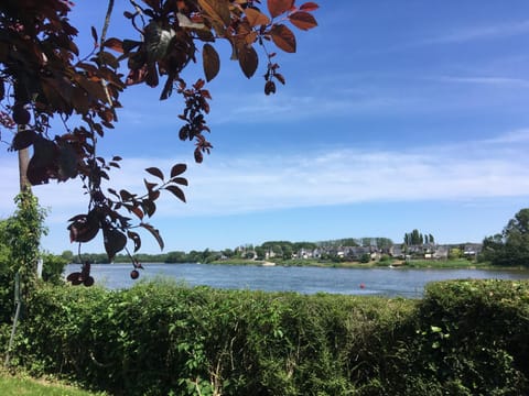 Lake view