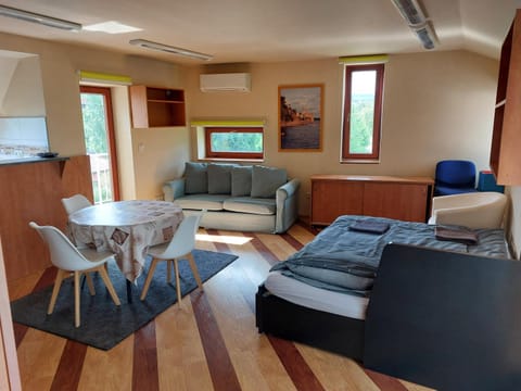 Bed, Kitchen or kitchenette, Living room, Dining area, Bedroom
