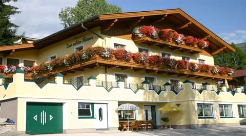 Facade/entrance, Spring, Summer, Autumn