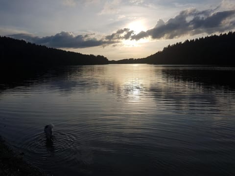 Lindenhaus Apartment in Wallonia, Belgium