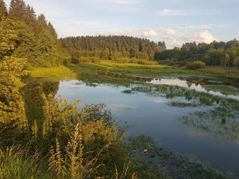 Lindenhaus Apartment in Wallonia, Belgium