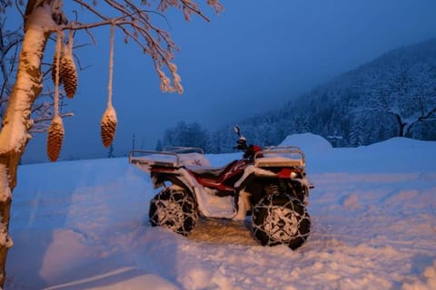 Chalet Berghaus Manuaf Chalet in Vorarlberg, Austria