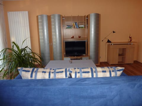 Living room, Photo of the whole room