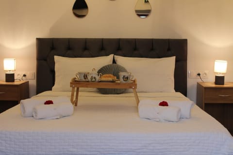 Trouli Rokka House House in Crete