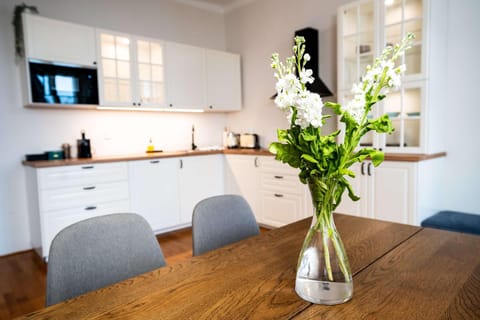Kitchen or kitchenette, Dining area, stove
