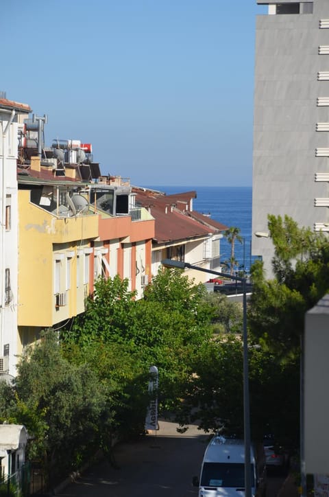 Property view
