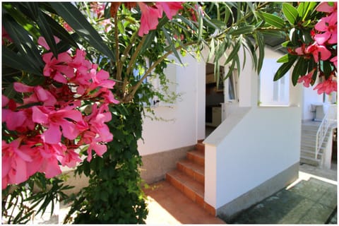 Studio Apartman Elena Apartment in Šibenik-Knin County, Croatia