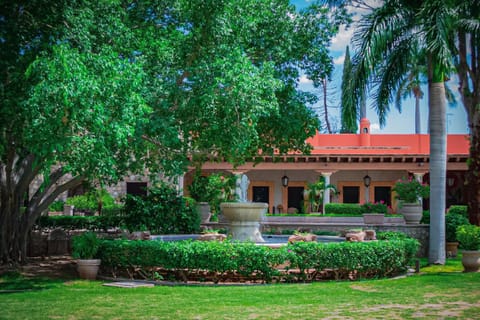 Natural landscape, Garden view, Landmark view