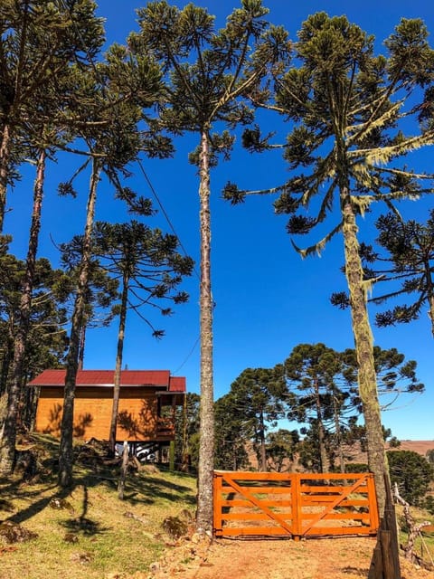 Property building, Day, Natural landscape