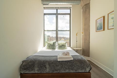 Bright 2BR Luxury Corner Suite with Optional Parking Sleeps 6 guests Near McCormick Place and Soldier Field Apartment in South Loop