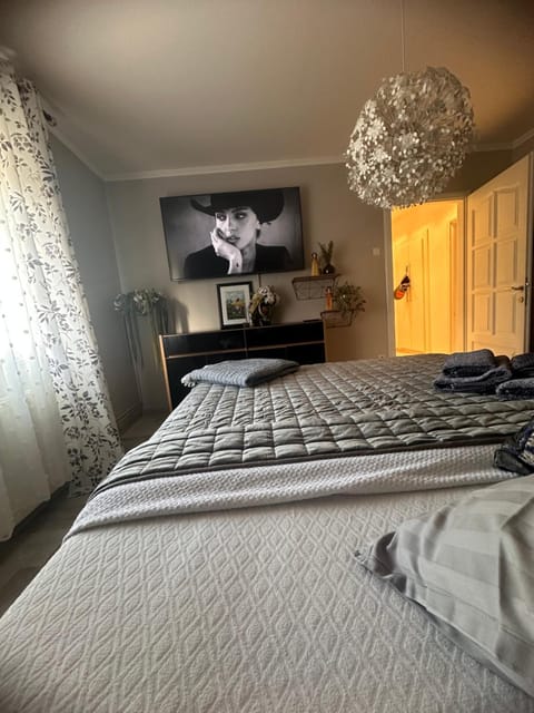 Apartman Pannonica Pin 0-24h Apartment in Slavonski Brod