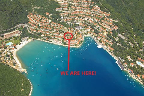 Bird's eye view, Location