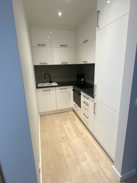 Kitchen or kitchenette, dishwasher, minibar, pet friendly, stove