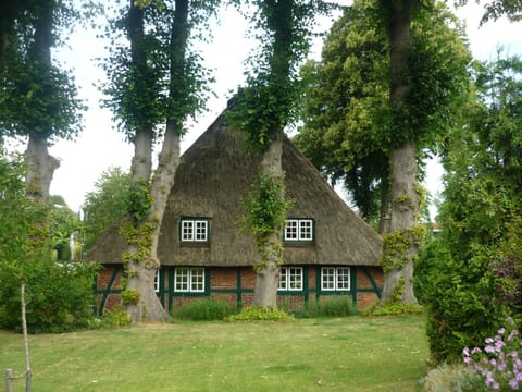Bioland Hof Bockmann Apartment in Schleswig-Holstein