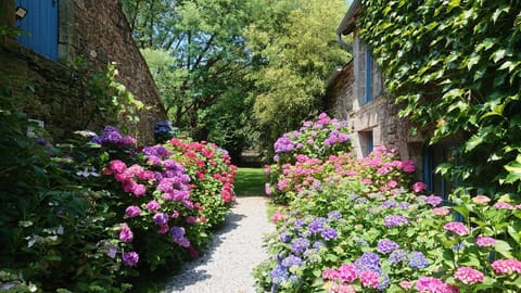 Spring, Garden
