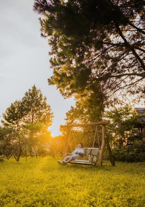Natural landscape, Sunset