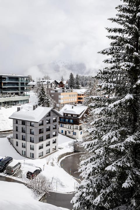 Natural landscape, Winter, Mountain view