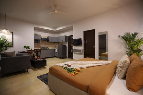 Bed, TV and multimedia, Living room, Photo of the whole room, Bedroom, kitchen