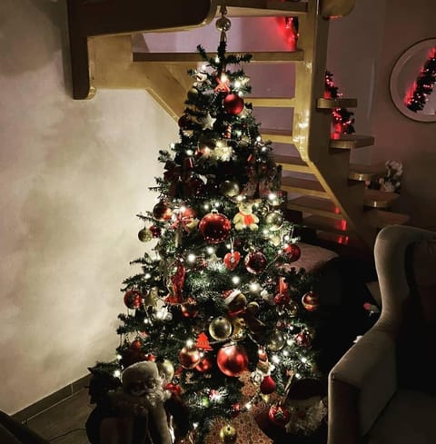 Durmitor Chill Point Villa in Montenegro