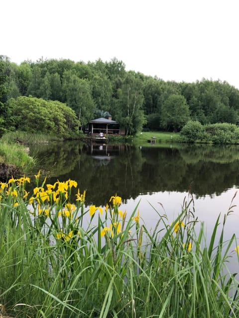 Lake view