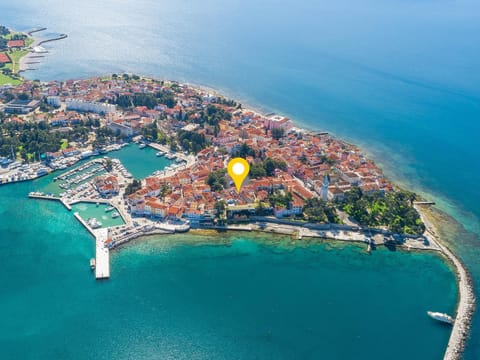 Bird's eye view, Location