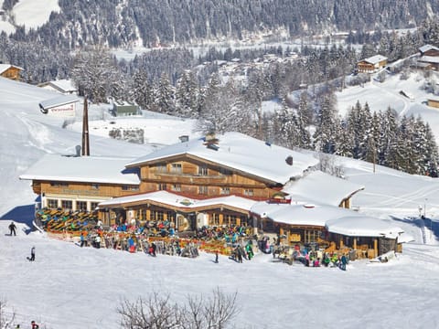 Property building, Natural landscape, Winter, Skiing