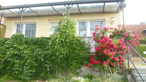 Property building, Garden view
