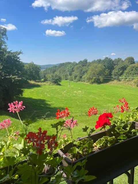 View (from property/room), View (from property/room), Balcony/Terrace, Balcony/Terrace