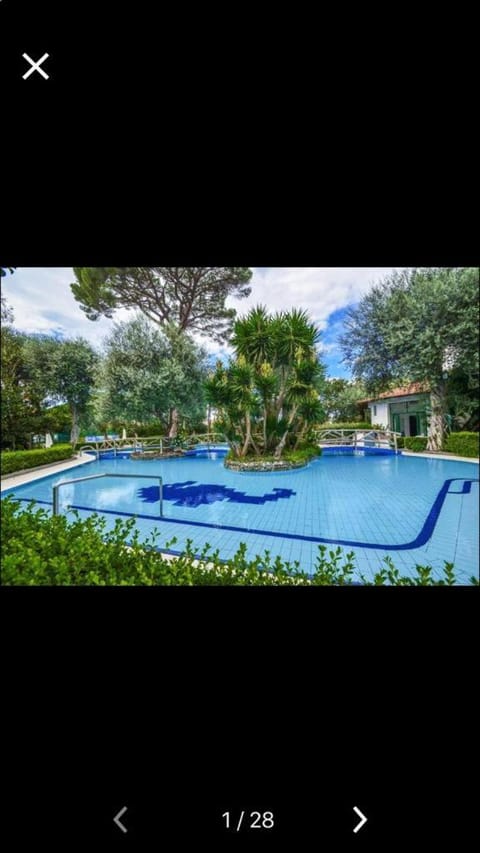 Pool view, Swimming pool, Swimming pool