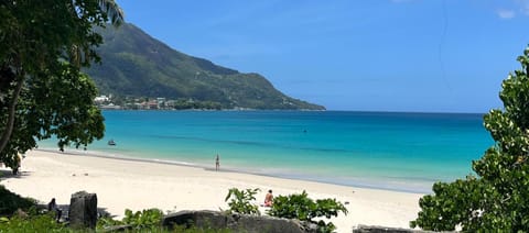Day, Neighbourhood, Natural landscape, Snorkeling, View (from property/room), Beach, Sea view, Sports